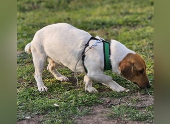 Jure ist ein lustiger, kleiner Wirbelwind
