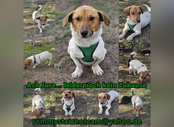 Jure ist ein lustiger, kleiner Wirbelwind