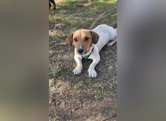 Jure ist ein lustiger, kleiner Wirbelwind