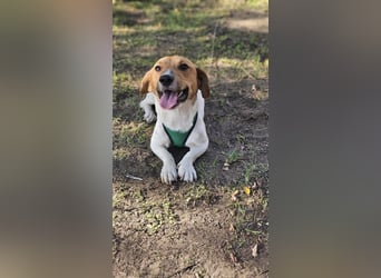 Jure ist ein lustiger, kleiner Wirbelwind