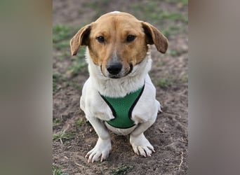 Jure ist ein lustiger, kleiner Wirbelwind