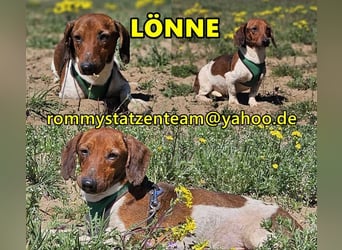 Lönne liebt spontane Abenteuer