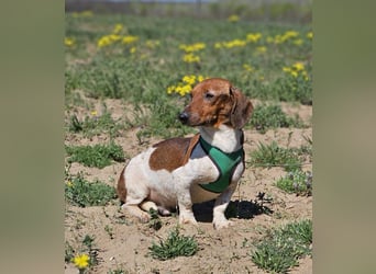 Lönne liebt spontane Abenteuer