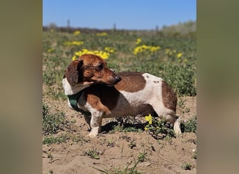 Lönne liebt spontane Abenteuer