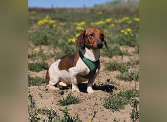 Lönne liebt spontane Abenteuer