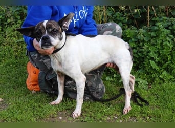 Typisch Frohnatur ♦️I Z Z Y ♦️ in der Cantinho da Milu ⏳ 1/2026