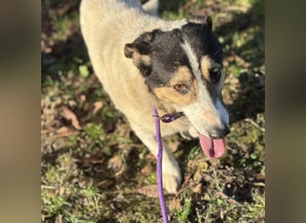 Mipp braucht jemanden der ihm lieb hat