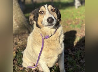 Mipp braucht jemanden der ihm lieb hat