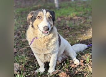 Mipp braucht jemanden der ihm lieb hat