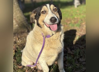 Mipp braucht jemanden der ihm lieb hat