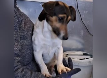 WARTKA MÖCHTE ANKOMMEN