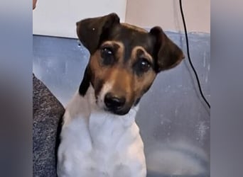 WARTKA MÖCHTE ANKOMMEN