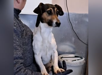 WARTKA MÖCHTE ANKOMMEN