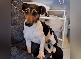 WARTKA MÖCHTE ANKOMMEN