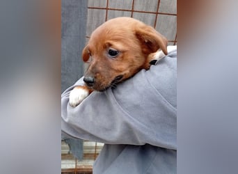 Winnie ❤️ so verspielt, aktiv, verschmust