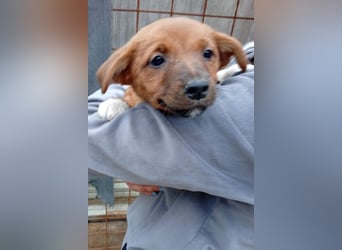 Winnie ❤️ so verspielt, aktiv, verschmust