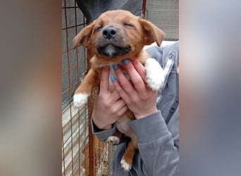 Winnie ❤️ so verspielt, aktiv, verschmust
