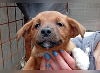 Winnie ❤️ so verspielt, aktiv, verschmust