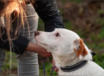 Bucket - Schmusebacke (Ukraine)