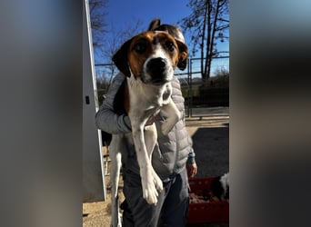 Frodo, sportlich und aktiv