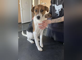 Frodo, sportlich und aktiv