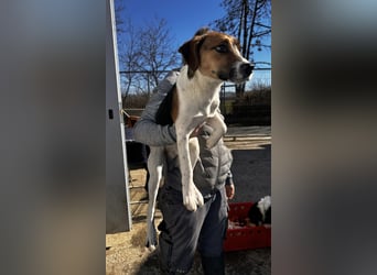 Frodo, sportlich und aktiv