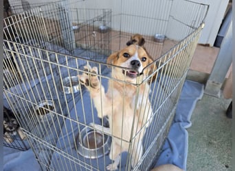 Gilda: erobert alle Herzen mit ihrer Fröhlichkeit