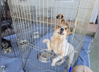 Gilda: erobert alle Herzen mit ihrer Fröhlichkeit