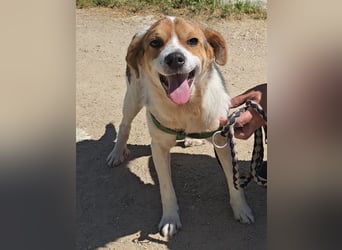 Gilda: erobert alle Herzen mit ihrer Fröhlichkeit