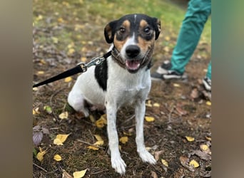 Mali ein verlorenes Mädchen