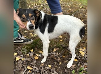 Mali ein verlorenes Mädchen