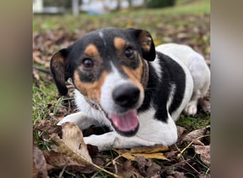 Mali ein verlorenes Mädchen