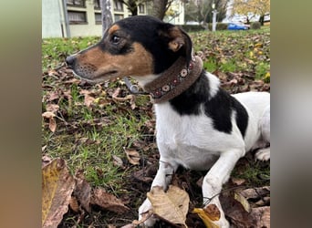 Mali ein verlorenes Mädchen