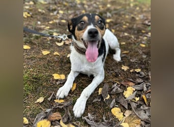 Mali ein verlorenes Mädchen