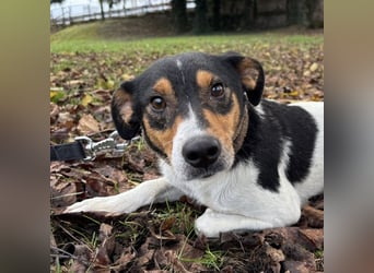 Mali ein verlorenes Mädchen