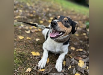 Mali ein verlorenes Mädchen