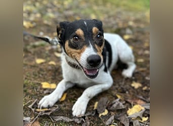 Mali ein verlorenes Mädchen