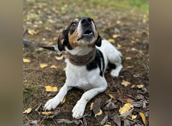 Mali ein verlorenes Mädchen