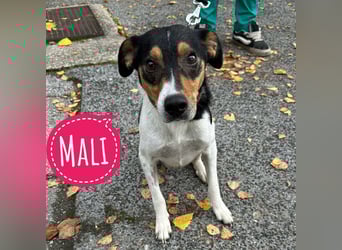 Mali ein verlorenes Mädchen