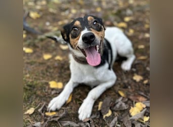 Mali ein verlorenes Mädchen