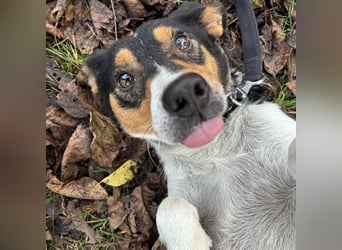 Mali ein verlorenes Mädchen