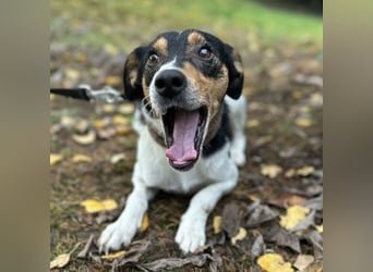 Mali ein verlorenes Mädchen