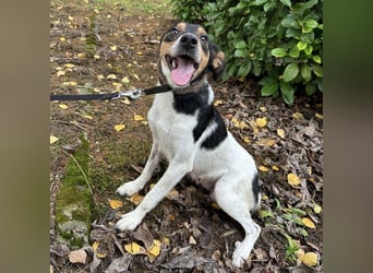 Mali ein verlorenes Mädchen