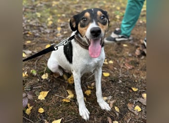 Mali ein verlorenes Mädchen