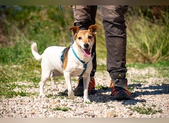 Auri möchte Teil eurer Familie werden