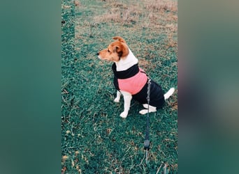 Auri möchte Teil eurer Familie werden