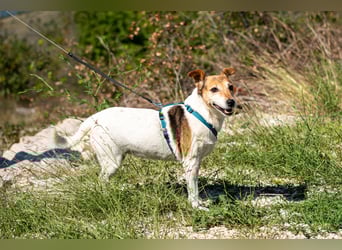 Auri möchte Teil eurer Familie werden