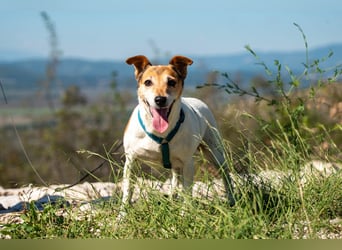 Auri möchte Teil eurer Familie werden