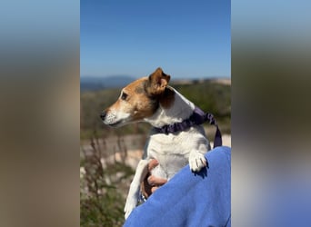 Auri möchte Teil eurer Familie werden