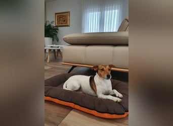 Auri möchte Teil eurer Familie werden